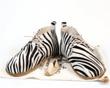 Zebra - Aintap
