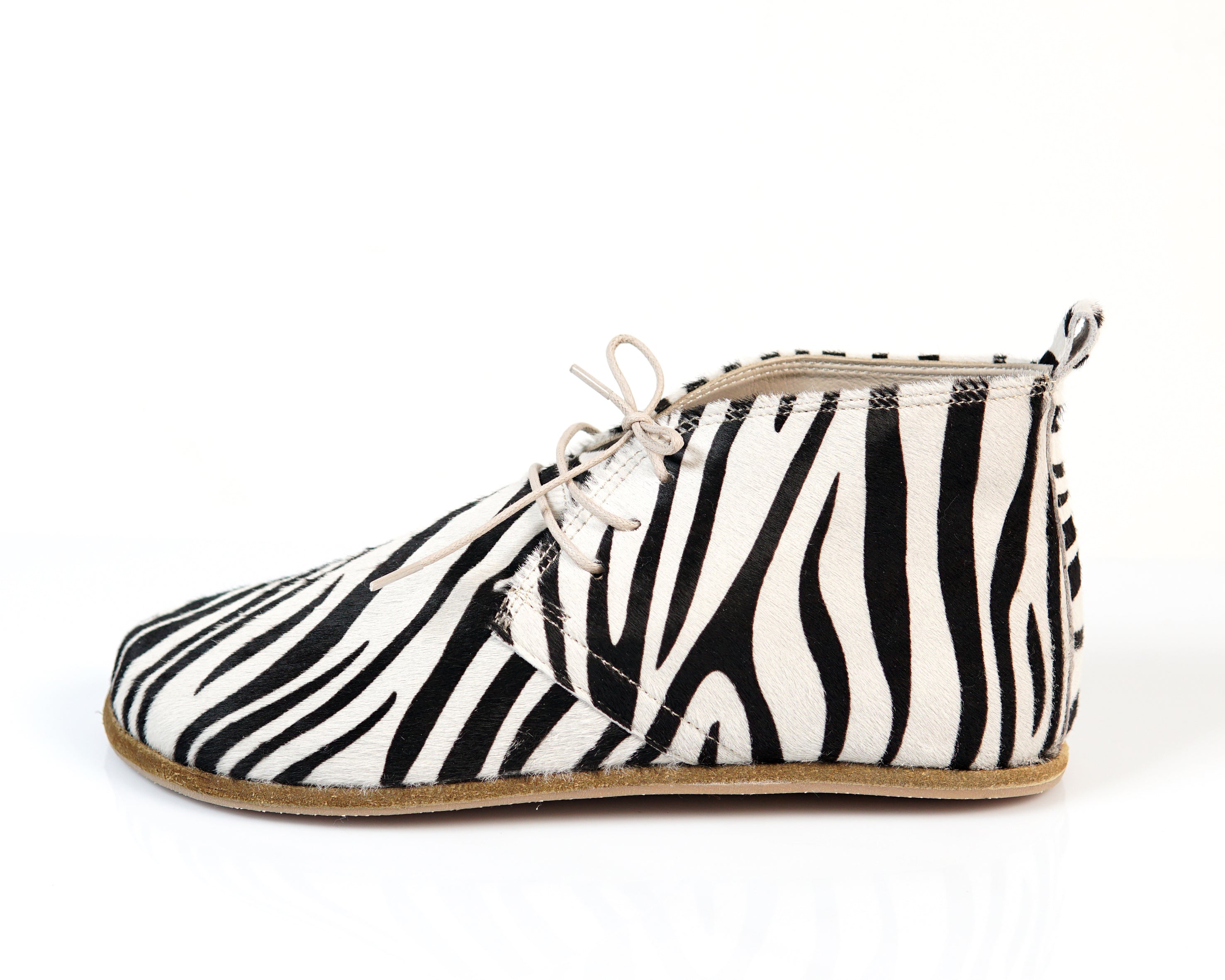 Zebra - Aintap