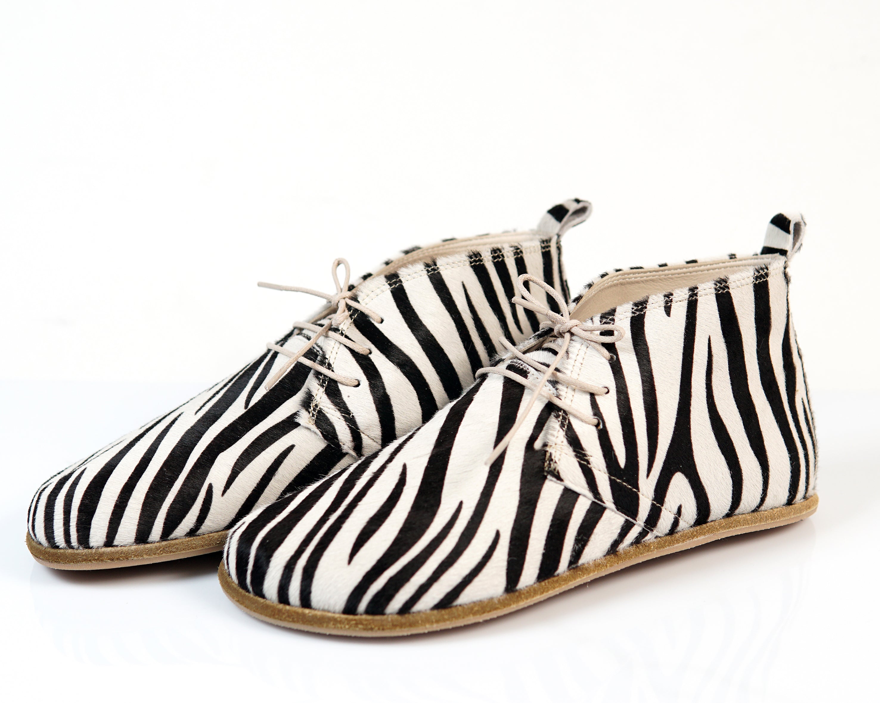 Zebra - Aintap