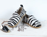 Zebra - Aintap