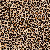 Leopard - Aintap