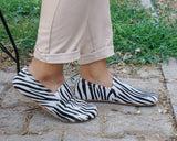 Zebra - Aintap